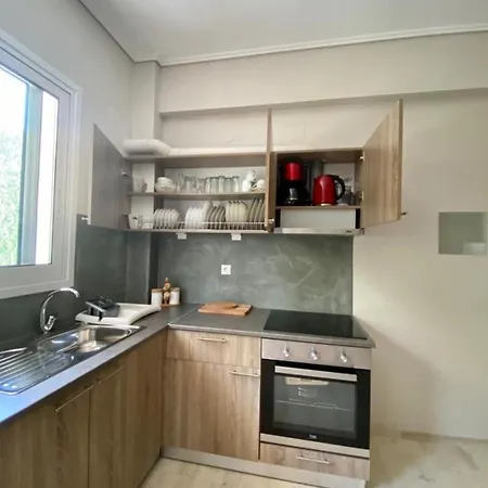 Διαμέρισμα Lefkas House